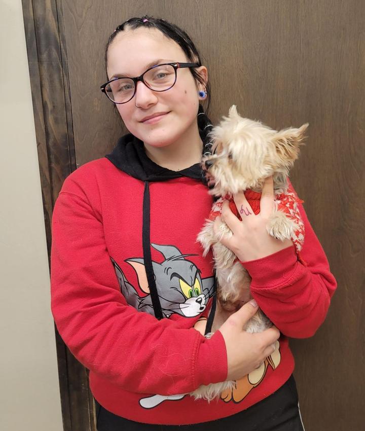 Experienced Veterinarians Animal Hospital in Kansas City